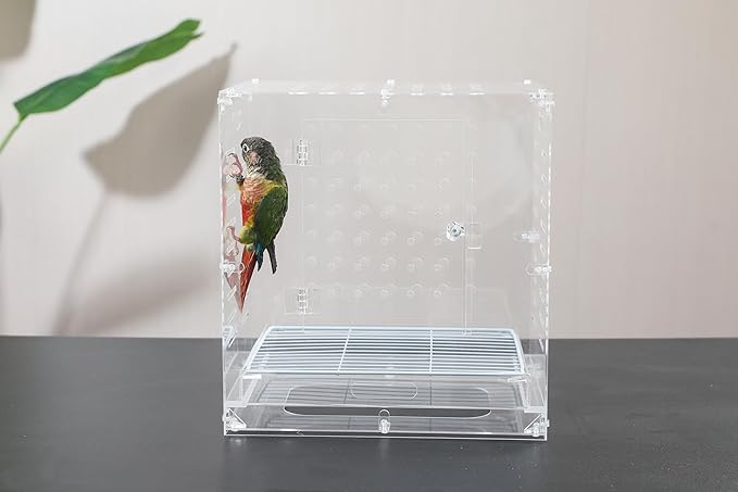 Clear Acrylic Bird Cage for Small Birds, Transparent Display Habitat for Canary, Parakeet - Easy to Clean & Assemble (9x12x13in)