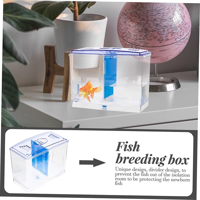Healifty Miniature Acrylic Fish Breeding Box with Double Isolation Divider Transparent Fish Tank Hatchery Incubator for Betta and Small Aquarium Easy to Clean and Install Safe Water Quality