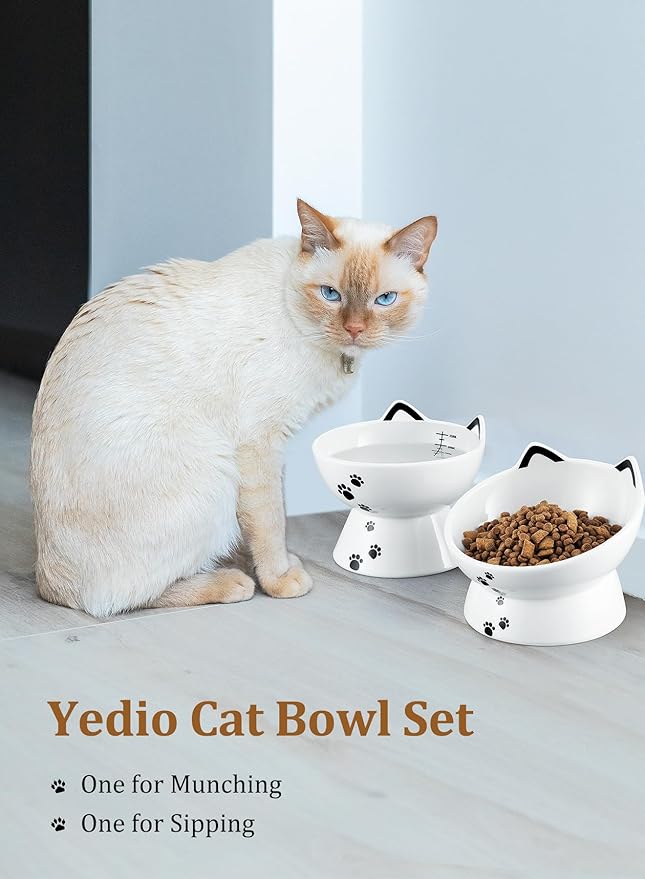 Yedio Porcelain Raised Cat Bowl, Tilted Cat Food Bowl with Anti Slip Band, Stress Free, Elevated Porcelain Pet Bowl Protect Pet's Spine, Backflow Prevention, Dishwasher Safe, White