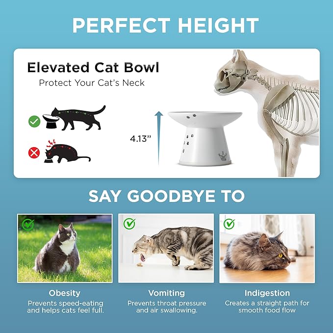 Necoichi Raised Cat Food Bowl – Ceramic Elevated Cat Bowl for Whisker & Neck Fatigue, Dishwasher Microwave Safe – Non-Slip & Anti Vomiting Ergonomic Design (Cats, Extra Wide, 2-Cups Capacity)
