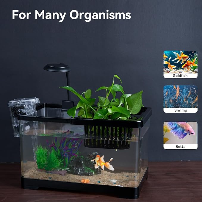 1.8 Gallon Beta Fish Tank Aquariums Kits - Clear Small Fish Bowl Starter Kit with LED Light, Water Filter Pump, Hydroponic Basket - Beginner's Gift for Guppy Shrimp Goldfish, Rectangular