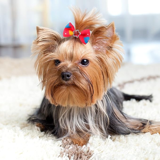 Reginary 300 Pack Dog Bows Grooming Cute Dog Hair Bows Girl with Rubber Bands Small Puppy Bowknots Colorful Hair Accessories for Puppies Pets Gift
