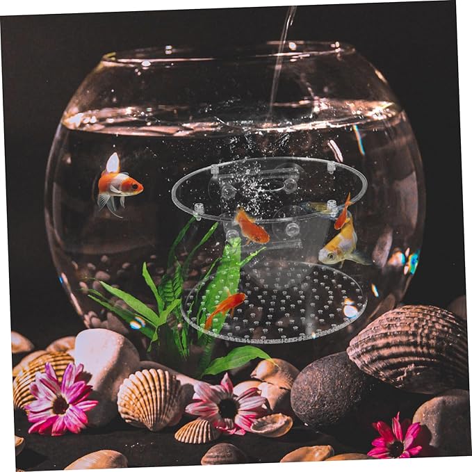 POPETPOP Fish Breeding Box Isolation Tank for Fish Hatching Easy to Clean Aquarium Divider for Safe Breeding Enhanced Survival Rate Transparent