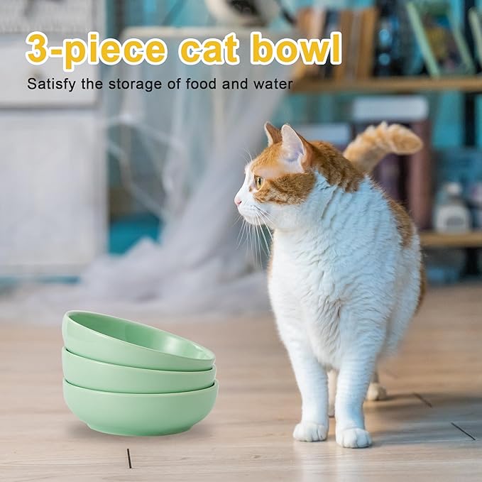 Howise 5.3 in Ceramic Cat Bowls Set, Shallow Food Bowl for Small Pets, Dish for Food and Water, Green