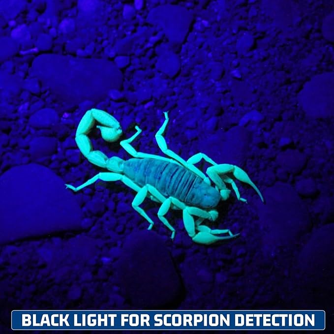 S3U UV Flashlight Blacklight, Rechargeable Powerful Handheld UV Light for Resin Curing, Pet Urine & Scorpion Detection, Rocks & Minerals Hunting (385NM)