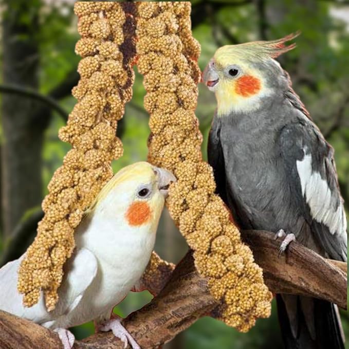 Natural Spray Millet 2lb (Only Edible Tops) Stemless- Non-GMO, Chemical-Free, Hand-Harvested Fresh Treat for Parakeets, Cockatiels, Finches, and Small Pets