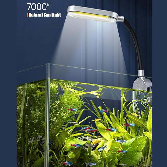 2.5 Gallon Fish Tank Starter Kits, with Led Light, Filter Pump, Cover, Small Fish Tank Betta Aquarium (30x18x20CM)
