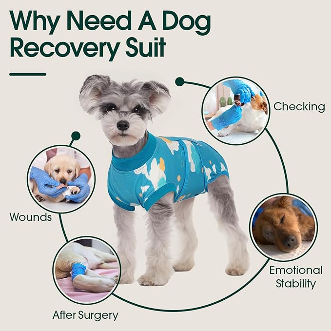 Kuoser Dog Recovery Suit After Surgery, Dog Surgery Suit Female Spay, Male Neuter, Anti-Licking Pet Onesie, Surgical Recovery Bodysuit for Abdominal Wounds,Skin Disease, E-Collar Cone Alternative, 2XL