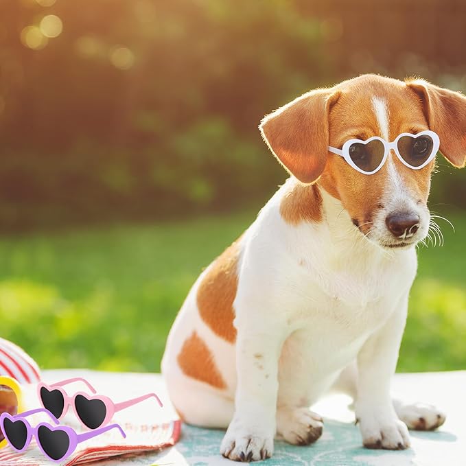 6 Pcs Pet Heart Sunglasses Summer Cute Pet Dog Sunglasses Retro Small Cat Glasses Photos Props Dolls Glasses Puppy Party Decor for Small Dogs Cat Accessories(Pastel Colors Set)