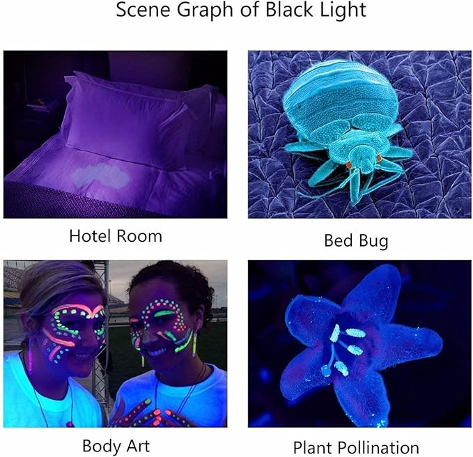 UV Flashlight, 365Nm Black Light, Portable Mini Flashlight for UV Resin Curing, Rock Detection, Pet Urine Detection, Paper Money Measurement
