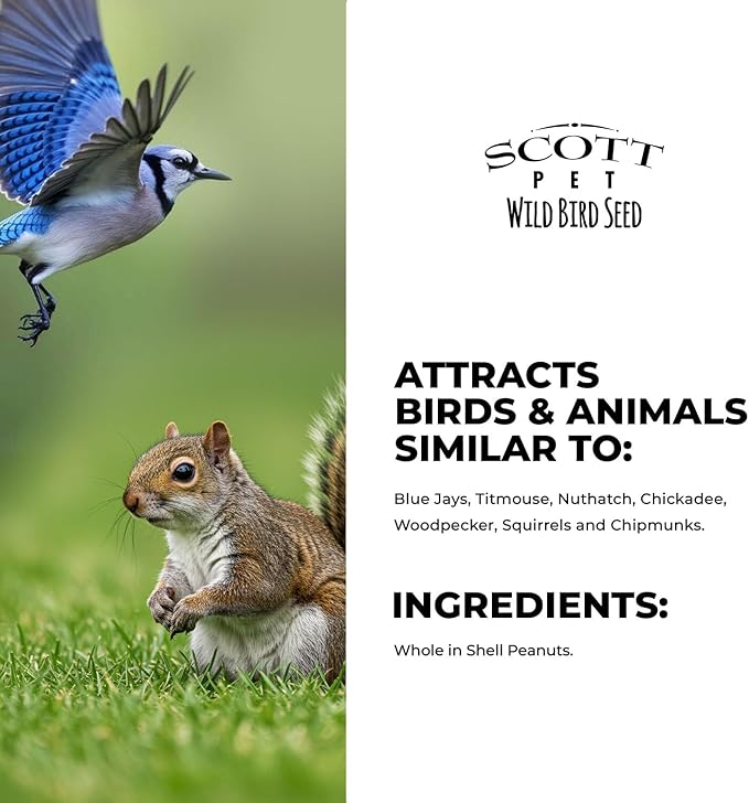 Scott Pet Wild Bird Seed, Whole Peanuts, 4 lbs Bag, Feed, Great Source of Protein and Fiber, Peanuts for Outside Wild Birds