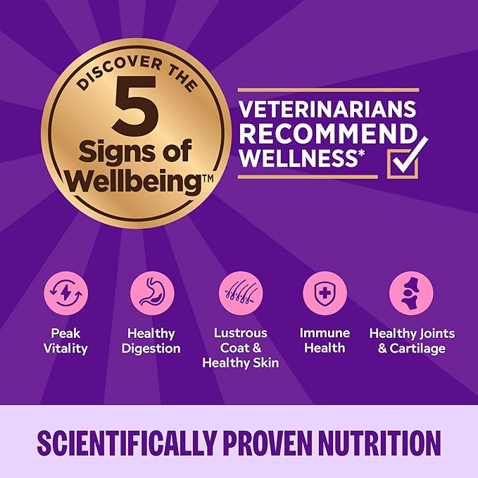 Wellness Complete Health Pate Adult Wet Cat Food, Natural, Protein-Rich, Grain-Free, 3 Ounce, 12 Pack, (Seafood Variety Pack)