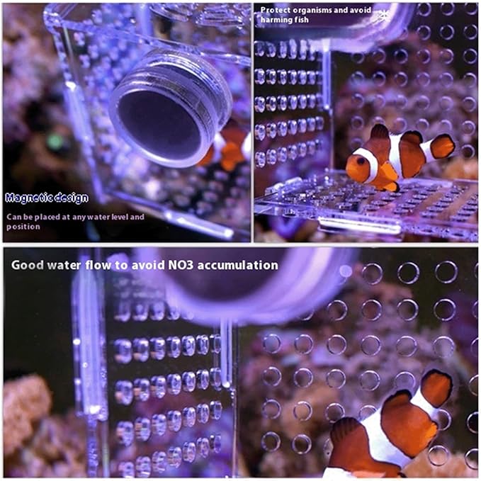 Acrylic Fish Breeding Box, Magnetic Fish Isolation Box Fish Separator for Aquarium Hatchery Incubator Tank for Baby Fishes Shrimp Clownfish Guppy (Medium, Normal Magnetic Model)
