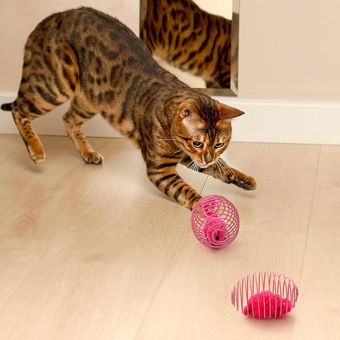 Jecery 5 Pcs Cat Spring Balls Toys Stretchable Rolling Balls Colorful Playful Coils Interactive Action Toy Caged Rats for Kitten Pet Supplies (Mouse,Pink)