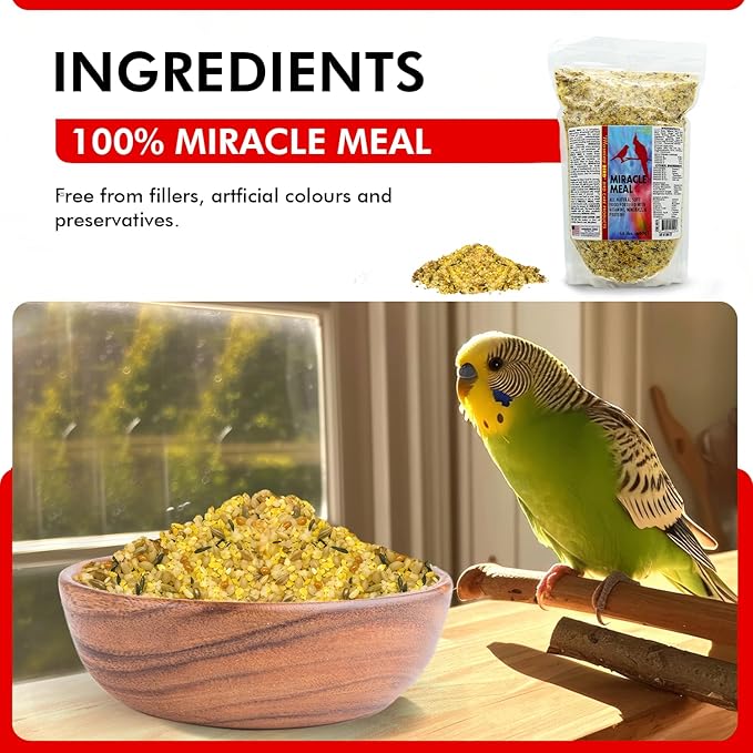 Morning Bird Miracle Meal 1.5 lbs – Vitamin Fortified Soft Bird Food for Birds - All-Natural No Artificial Dyes, Flavors or preservatives - Supports Feather Strength, Breeding & Overall Wellness