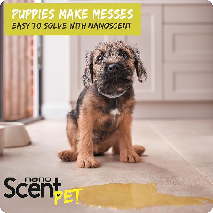 PET Urine Remover for Dogs & Cats, Eliminates Odors & Stains, 98% Natural Ingredients, Safe for Pets & Home, Bio-Active Enzymes + Long-Lasting Fresh Scent, Carpet, Floors & Furniture (200mL)