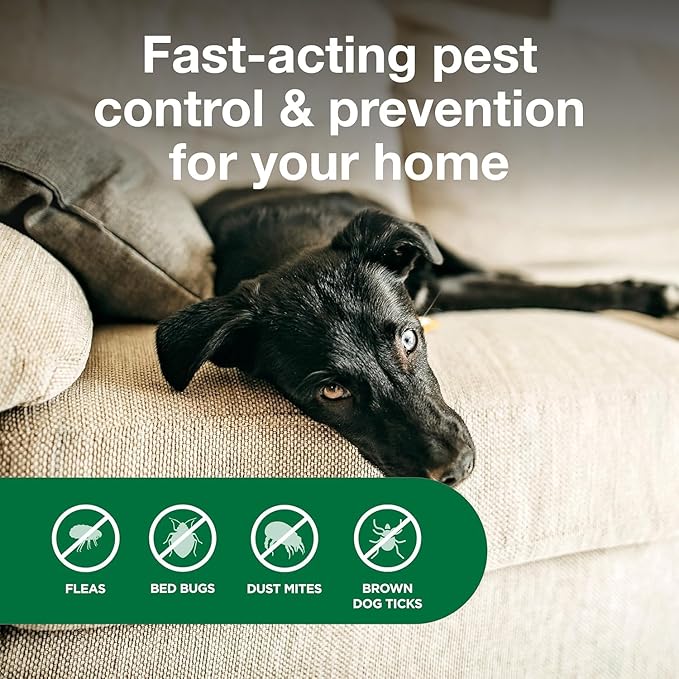 Bundle of Advantage Topical Cat Flea Treatment and Prevention for Small Cats 2-9 lbs. + Advantage Household Spot & Crevice Spray | Kills Fleas & Ticks & Bedbugs | 24 oz.