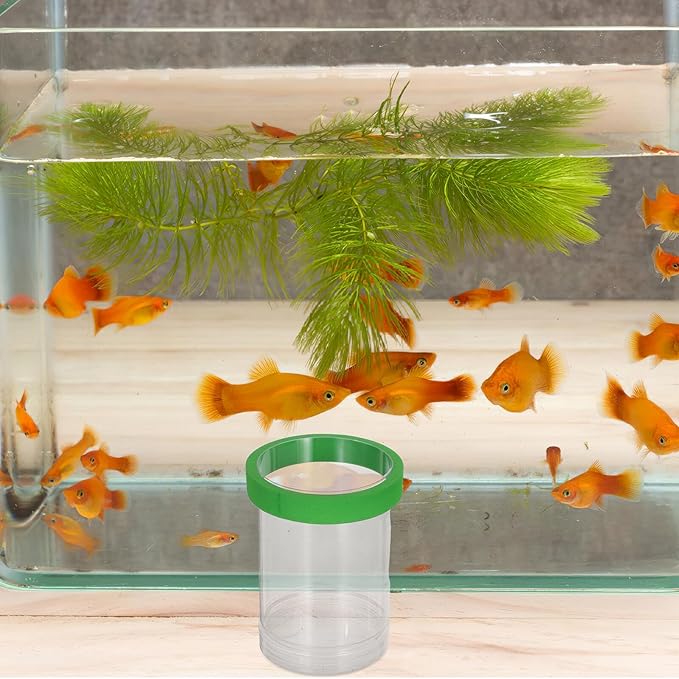 Small Fish Breeding Isolation Box with Floating Egg Net and Divider, Aquarium Hatchery Incubator for Guppy Fry, Green Compact Fish Tank Breeder Chamber