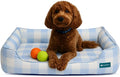 Orthopedic Bolster Dog Bed – CertiPUR-US Foam, Recycled Polyester Canvas, Washable Cover, Anti-Slip Bottom, Large, Light Blue Check – Stylish Designer Dog Sofa