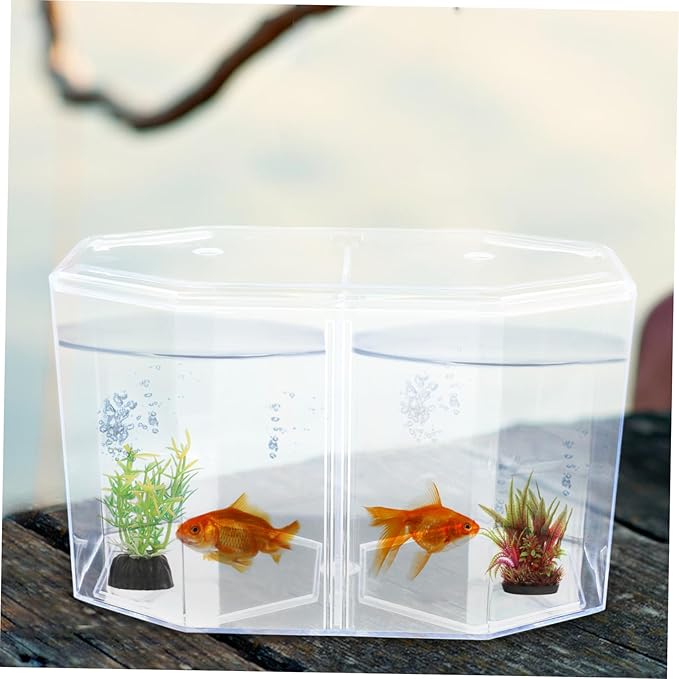 BESPORTBLE Fish Breeding Box Cups Transparent Divider Tank for Guppies Bettas Clownfish Safe Hatchery for Fry Isolation and Increased Survival Rate