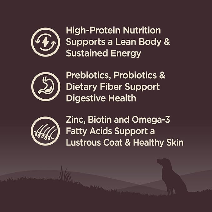Wellness CORE Adult Dry Dog Food, Grain Free Kibble, Natural, High Protein, Lamb Recipe, 4 lb Bag