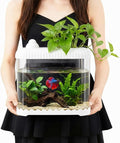 Geelin White 2.5 Gallon Plastic Aquaponic Betta Fish Tank Large Bowl Shatterproof Small Ecosystem Aquarium with Secure Buckle Lid, Clear Clarity for Terrarium, Flower Vase Betta Fish Tabletop Gifts