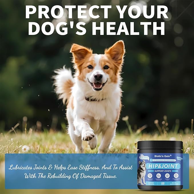 Biotic’s Gain Hip & Joint Soft Chews for Dogs | Glucosamine, MSM, Chondroitin & Turmeric | Hemp Seed Oil for Mobility | Tasty Chews for Senior & Active Dogs (120, Hip & Joint Care)