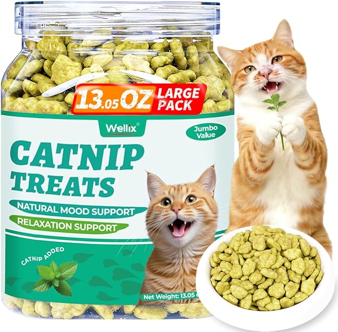 Wellix 13.05oz Catnip Treats for Cats -Healthy Cat Treats for Indoor Cat with Digestive Support - Crunchy Kitten Snacks for Training Biscuits,Food Toppers,Dental Chews with Real Salmon