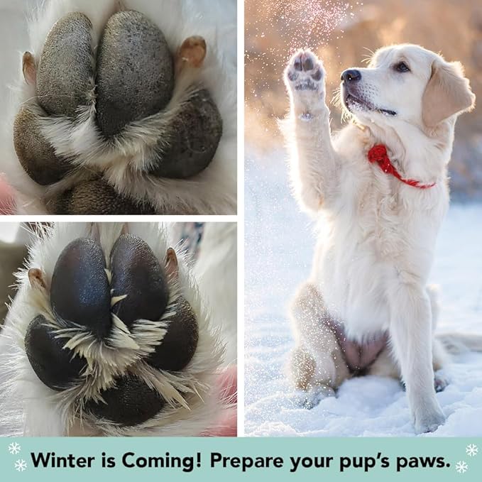 Natural Dog Company PawTection Balm for Dogs – Winter Paw Protection from Snow, Ice & Salt, Wax-Based Paw Barrier Balm, All Breeds for Cold Weather Walks & Outdoor Adventures, Lick-Safe, 1 oz Tin