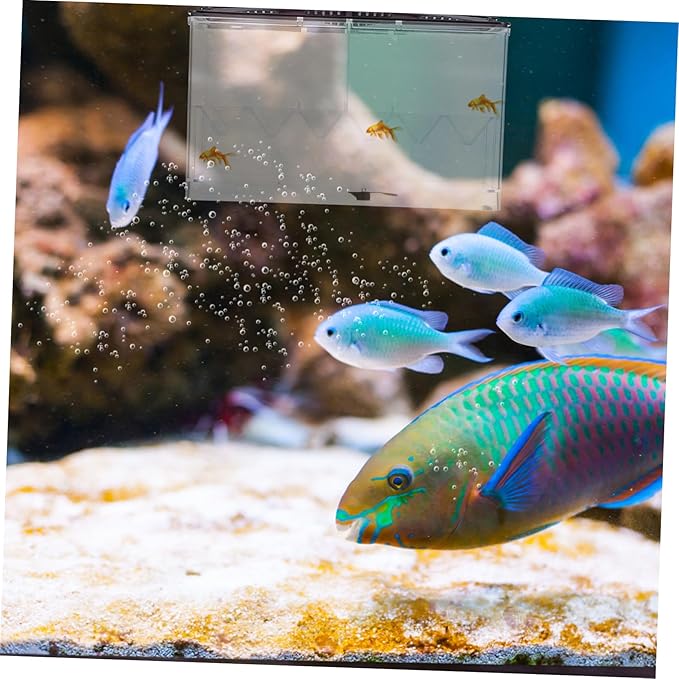 Multi-use Fish Isolation Box for Aquarium Breeding Box Feeding Slot Drainage Outlet