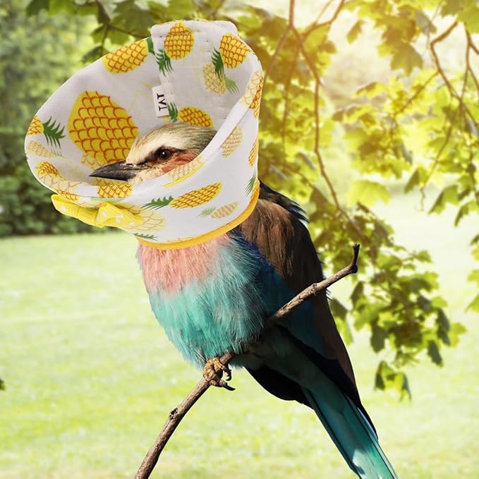 SUPVOX Parrot Collar Anti-Biting Bird Cone Collar for Plucking Protection Lightweight Comfortable Recovery Ring 6.69X3.54In