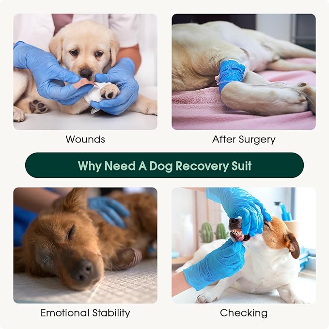 Kuoser Dog Recovery Suit for Dogs After Surgery, Soft Dog Surgical Onesie for Female Male Dogs Spay Neuter, Anti-Licking Pet Bodysuit for Abdominal Wounds, Skin Disease, E-Collar Alternative, Pink M