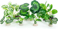 Betta Fish Tank Accessories 7 Pack Silk Aquarium Plants Decoration Artificial Fish Tank Plants Set for Aquariums Decor