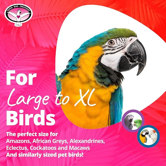 Super Bird Creations SB1241 Stainless Steel Tube Bells - Bird Cage Accessory for Sound Enrichment - Ideal for Parrots, Amazons, Greys, Cockatoos and Macaws (Small) - Made in The USA