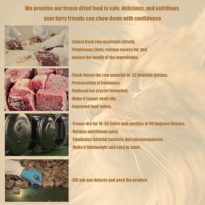 RA NOVA Freeze Dried Cat Treats - 100% Duck Breast Grain Free Raw - Natural Balance Limited Ingredient High Protein Cat Snack 115g/4.1oz - Picky Eater Challenger