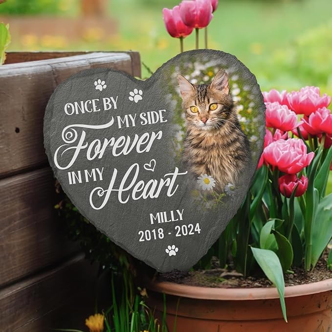 DOPTIKA Custom Photo You Would Have Lived Forever Personalized Photo Cat Memorial Gifts for Loss of Cat, Cemetery Decorations for Grave, Cat Sympathy Gifts, Cat Garden Decor, Pet Memorial for Cats