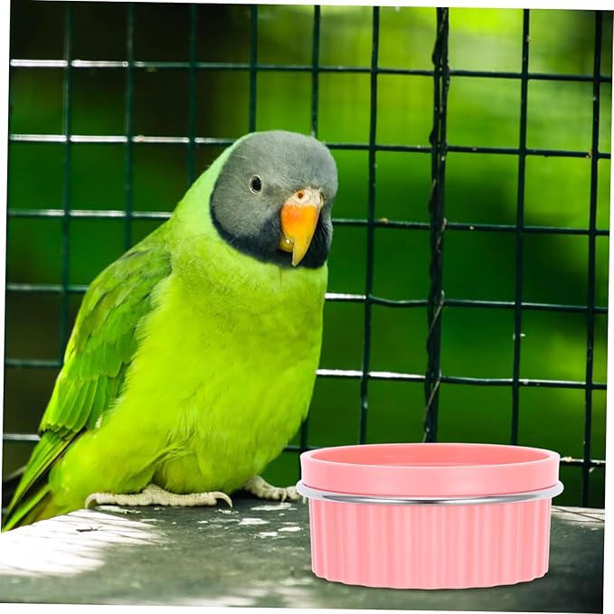 Stainless Steel Parrot Food Bowl Parrot Feeding Bowls for Cage Bird Feeders Bird Feeding Watering Supplies