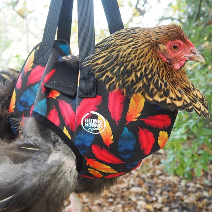 DOWN UNDER OUTDOORS Chicken Carrier Sling Holder Bag with Handle, Chicken Accessories for Foot Treatment, Medic, Leg Injuries, Bumblefoot, Poultry Farm Carrying, Transport, Three Sizes (Medium)