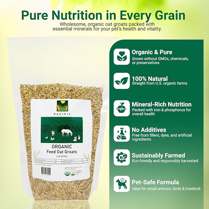 PACIFIC Organic Petfood Organic Feed Oat Groats - Oat Groats for Birds | Rich with Fiber & Minerals | USDA and CCOF Certified | Packed in USA (5 Pound (Pack of 1))