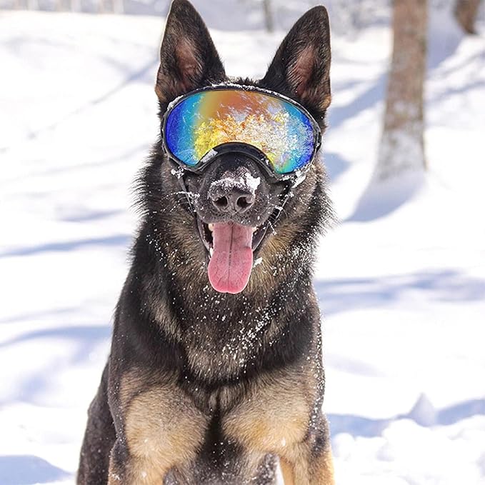 Pacify Dog Goggles for Large Dogs, UV Protection Dog Sunglasses with Adjustable Strap for Medium Large Dog Pet Glasses