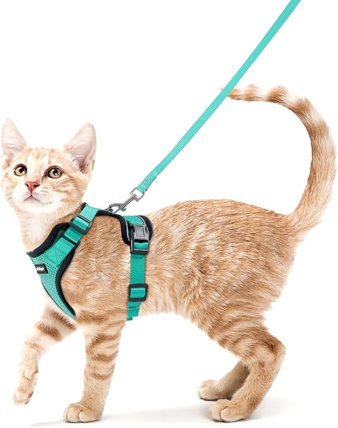 rabbitgoo Cat Harness and Leash for Walking, Escape Proof Soft Adjustable Vest Harnesses for Cats, Easy Control Breathable Reflective Strips Jacket, Emerald, XS