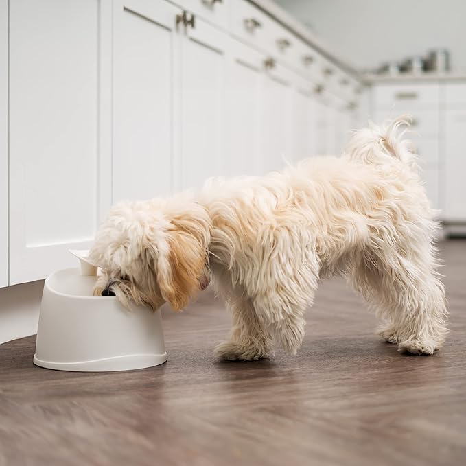 IRIS USA Cat Water Fountain, 44oz / 1.3L, Kitty Spout, Dog Fountain Water Bowl, Silent and Replaceable Charcoal Filter, White