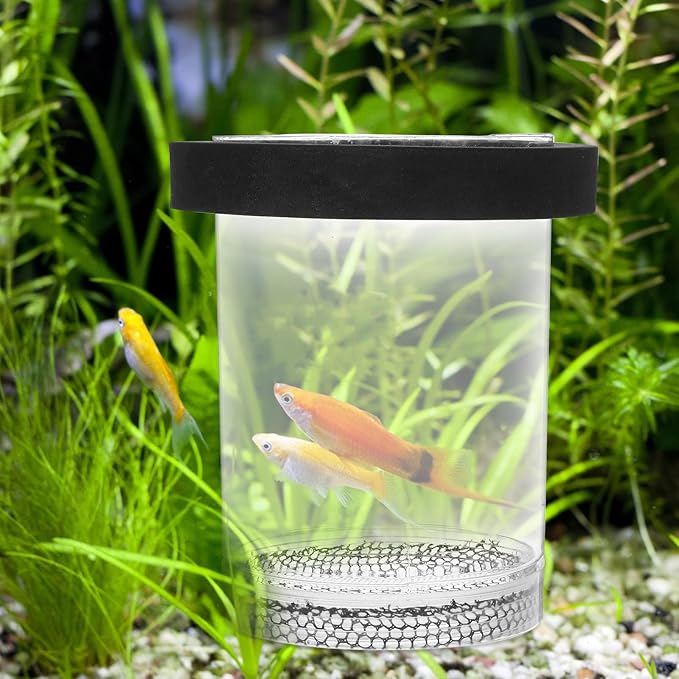 Floating Fish Breeding Box for Aquarium Tank - Plastic Hatching Box with Mesh Net for Baby, 5.9 X 3.9 X 3.9 in