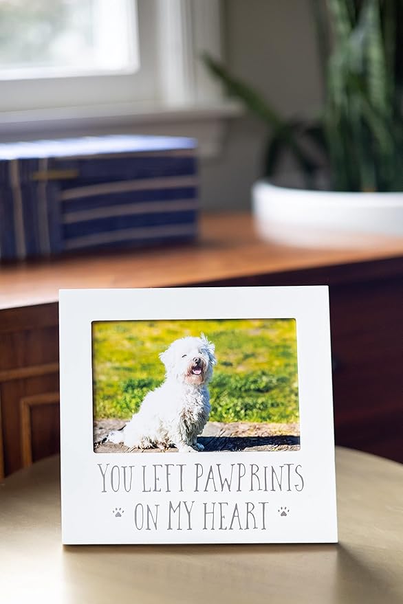 Pearhead “You Left Pawprints on My Heart” Pet Memorial Picture Frame, Dog or Cat Sympathy Gift, Pet Loss Keepsake, 4x6 Photo Frame, White