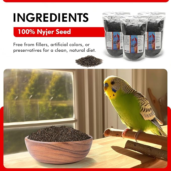 Morning Bird Nyjer Seed for Birds 4.5 lbs (3-Pack, 1.5 lbs Each) – Rich in Natural Healthy Fats – Ideal for Breeding & Molting – Premium Bird Food for Canaries and Other Seed-Eating Birds