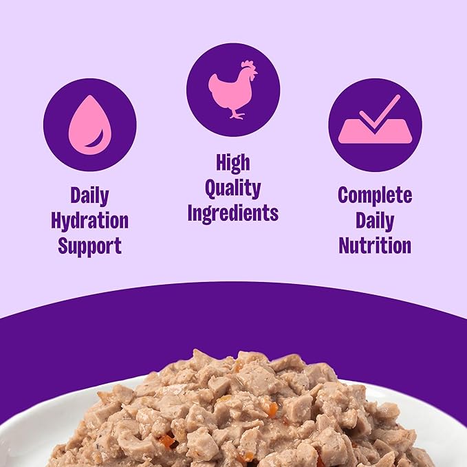 Wellness Complete Health Pate Adult Wet Cat Food,Natural,Protein-Rich,Grain Free,12.5 Ounce,(Chicken),12 Count (Pack of 2)