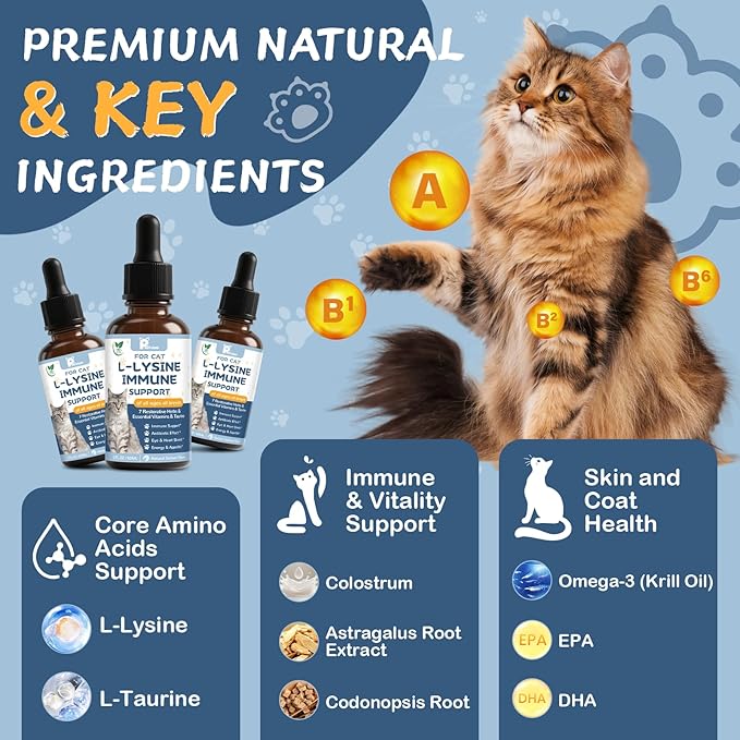 L-Lysine Supplement for Cats - Vitamins & Taurine for Immune Support & Allergy Relief - Lysine for Respiratory, Sneezing, Runny Nose, Eye Function - Natural Cat Antibiotic Drops - 60ML Slamon Flavor