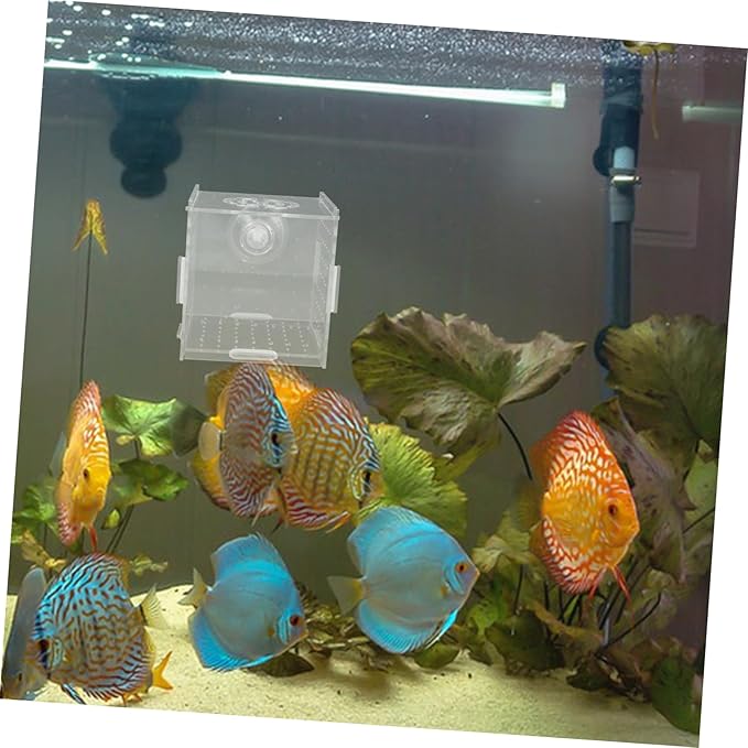 Box Aquarium Breeding Box Dual Purpose Acrylic Isolation Holder for Fish Shrimp Compact Incubator Hydroponic Separator Easy to Clean Maintain