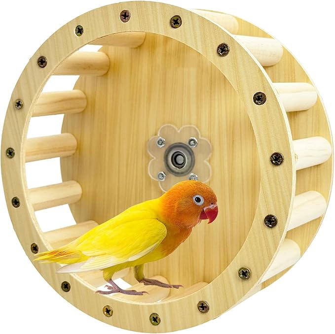 PINVNBY Wooden Bird Exercise Wheel Parrot Running Wheel Toy Cage Mounted Parakeet Interactive Spinner Toy Bird Rotating Perch for Budgies Lovebird Java Sparrow Canary Parrots and Some Small Animals