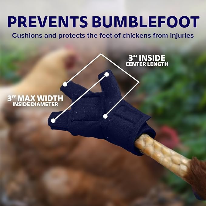 Chicken Shoes for Injured Feet – Protective Neoprene Footwear for Chicken, Open-Toe Design for Bumblefoot Relief, Made in USA - Large, 4" Max. Inside Width, Navy